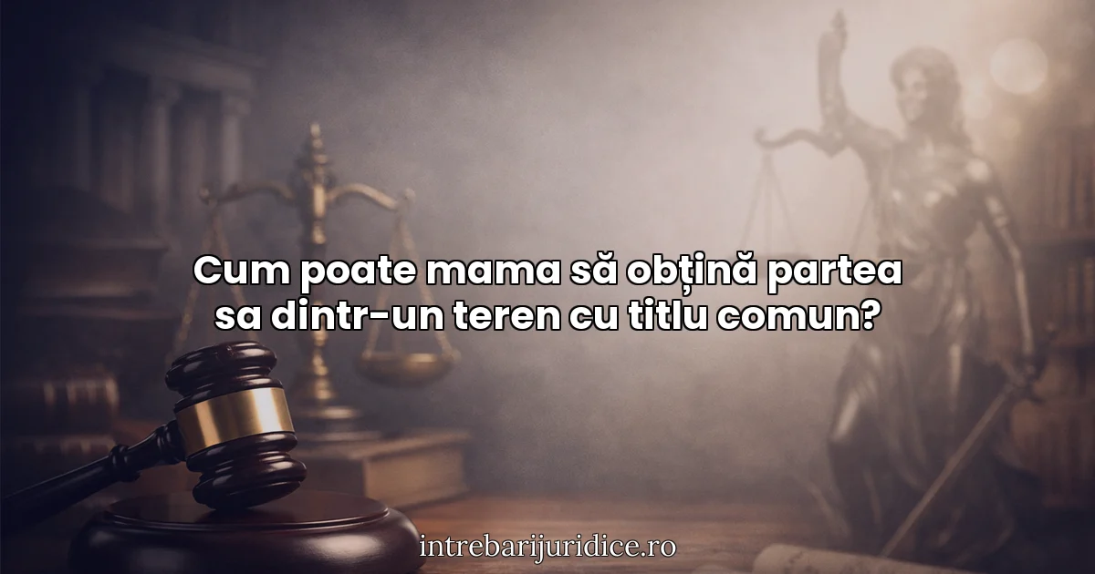 Cum poate mama să obțină partea sa dintr-un teren cu titlu comun?