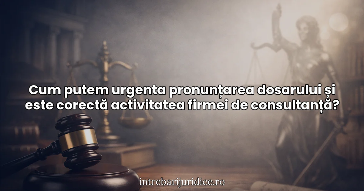 Cum putem urgenta pronunțarea dosarului și este corectă activitatea firmei de consultanță?